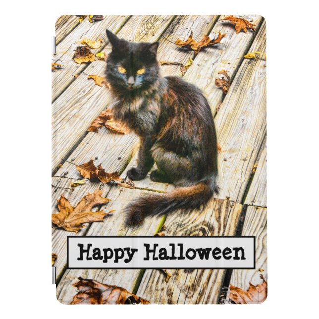 Your text: Spooky Halloween Black Cat Photo iPad Pro Cover (Front)