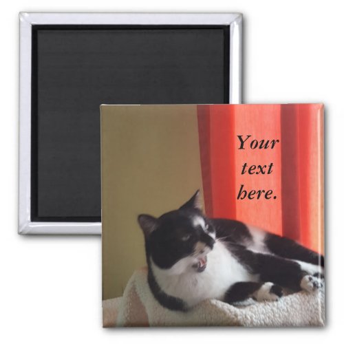 Your Text Words Tuxedo Cat Photo Magnets