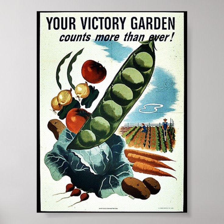 Your Victory Garden Poster Zazzle