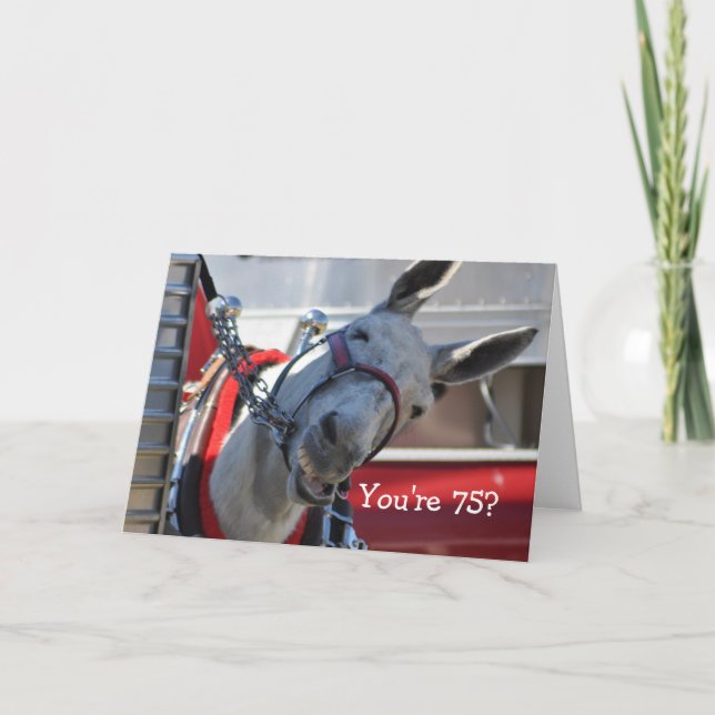 You're 75?...LMAO... Happy Birthday! Card (Front)