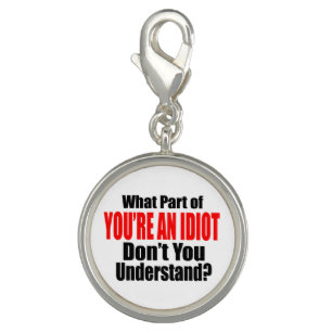 You're an Idiot Charm