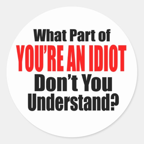 Youre an Idiot Classic Round Sticker