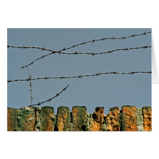 You're Barbed! Cards (Front Horizontal)