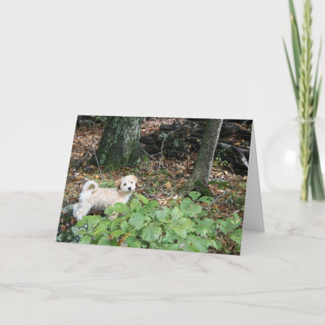 You're birthday, my gift card (Front)