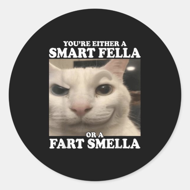 You're Either A Smart Fella Or A Fart Smella Funny Classic Round Sticker (Front)
