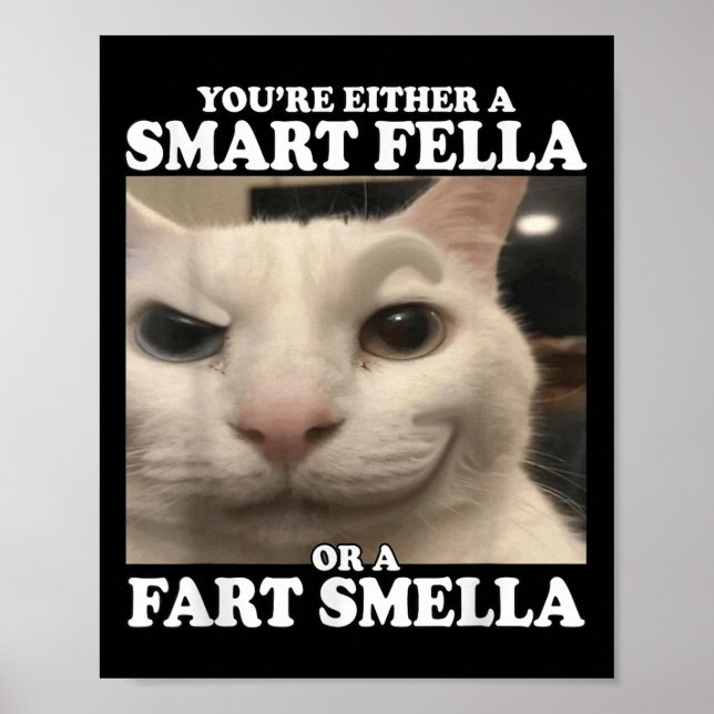 You're Either A Smart Fella Or A Fart Smella Funny Poster (Front)