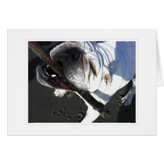 you're fetching cards (Front Horizontal)