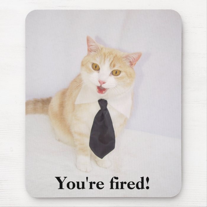 You're Fired Mouse Mats