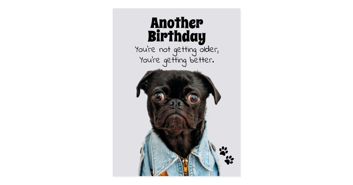 You're Getting Better Pug Dog Birthday Postcard | Zazzle.com