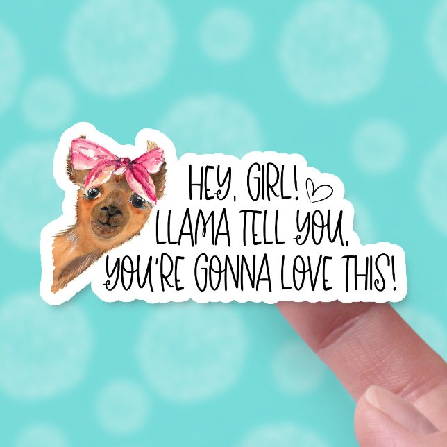 You're Going to Love This Cute Llama Funny Pun  Sticker (Creator Uploaded)