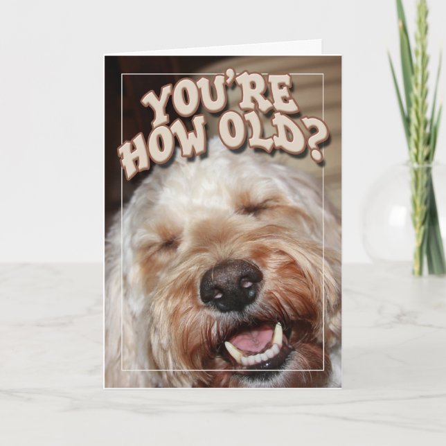 You're How Old? Card (Front)