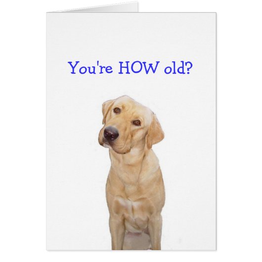 You're HOW old? Cards (Front)