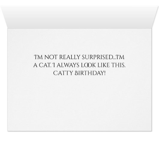 You're How Old? Catty Birthday Card (Inside Horizontal (Bottom))