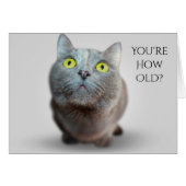 You're How Old? Catty Birthday Card (Front Horizontal)