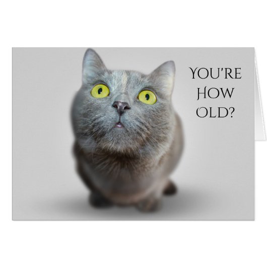 You're How Old? Catty Birthday Card (Front Horizontal)