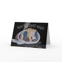 You're How Old? Funny Cat Birthday card