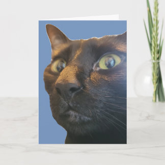 You're How Old? Happy Birthday Card