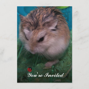 You're Invited Invitation