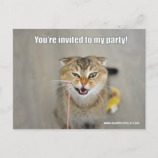 You're invited invitation postcard