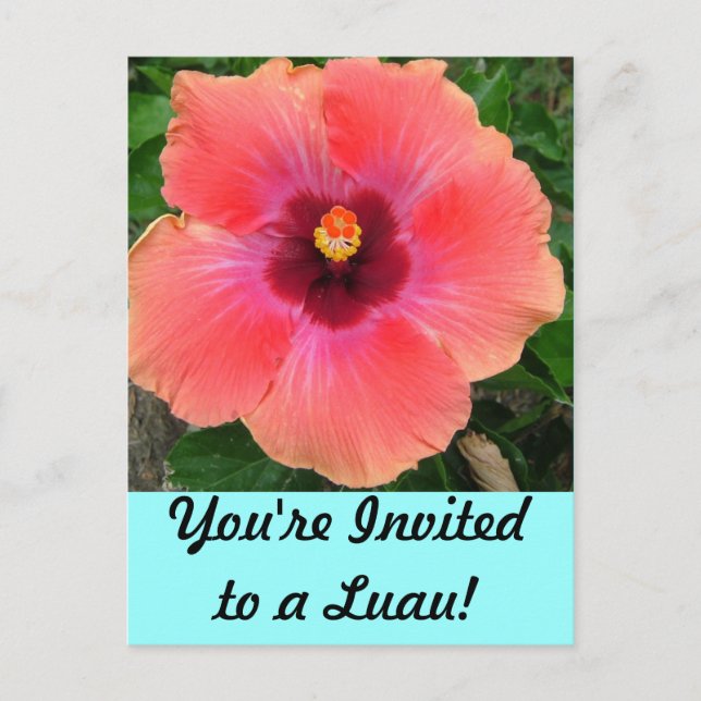 You're Invited to a Luau! Invitation Postcard (Front)