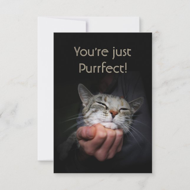 You're just Purrfect Card (Front)