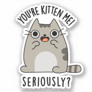 You're Kitten Me Seriously Funny Cat Pun Sticker