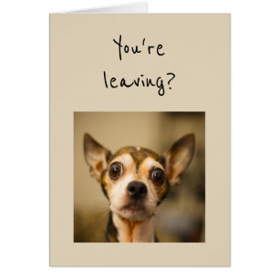 You're Leaving? Noooo! Fun Chihuahua Dog Cards