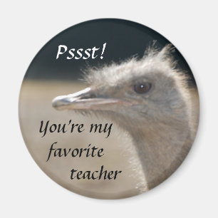 You're My Favorite Teacher - magnet