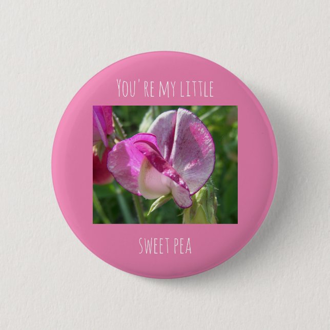 You're my little sweet pea badge pinback button (Front)