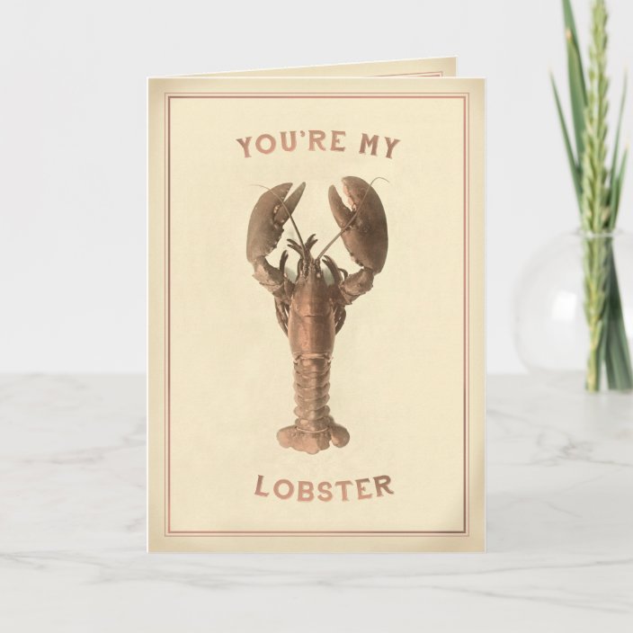 youre my lobster teddy