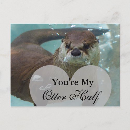 Youre my Otter Half Brown River Otter Swimming Postcard