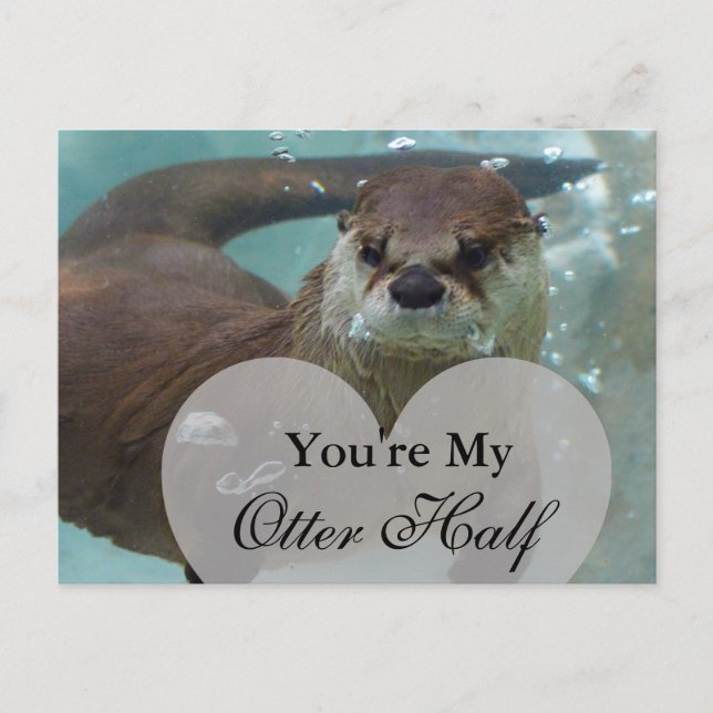 You're my Otter Half Brown River Otter Swimming Postcard (Front)