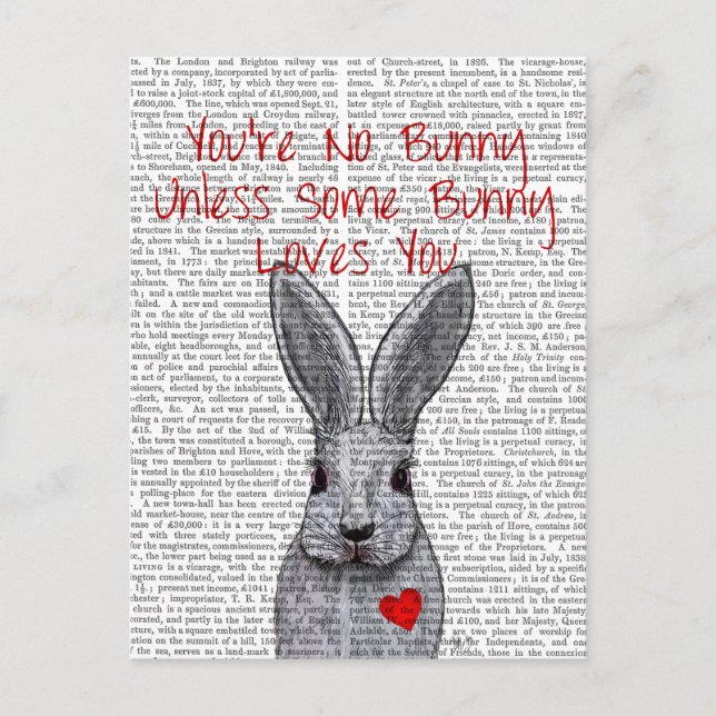 You're No Bunny Postcard (Front)