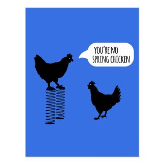 You're No Spring Chicken Chickens Postcard