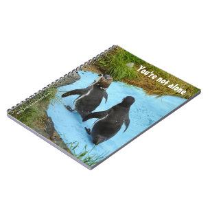 You're not alone Notebook