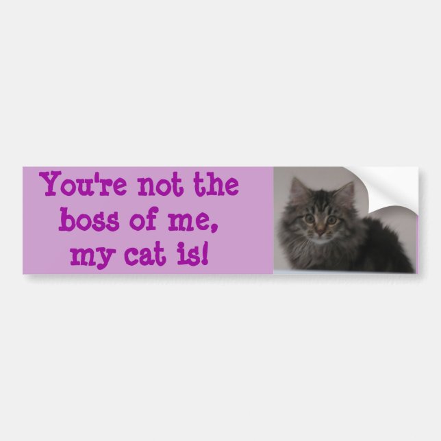 You're not the boss of me, my cat is! bumper sticker (Front)