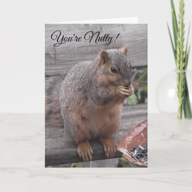 You're Nutty and I Like It | Funny Squirrel Pic Card (Front)
