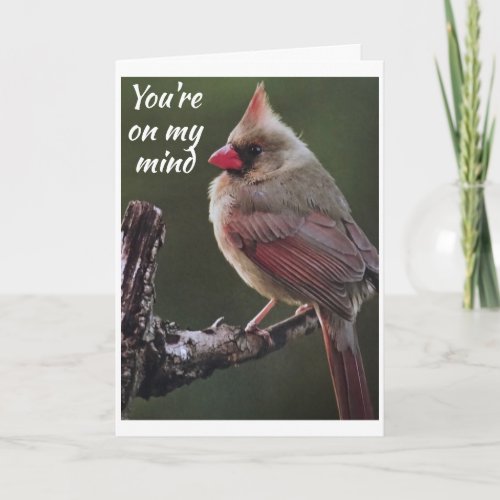 YOURE ON MY MIND AND I  SAY HAPPY BIRTHDAY CARD