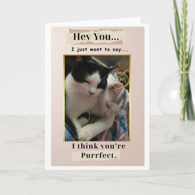 You're Purr fect! Card (Front)