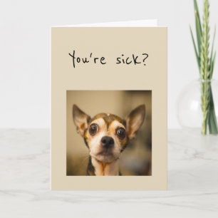 You're Sick? Noooo Get Well Soon Fun Chihuahua Dog Card