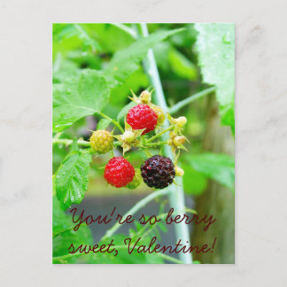 You're So Berry Sweet Raspberry Valentine Holiday Postcard