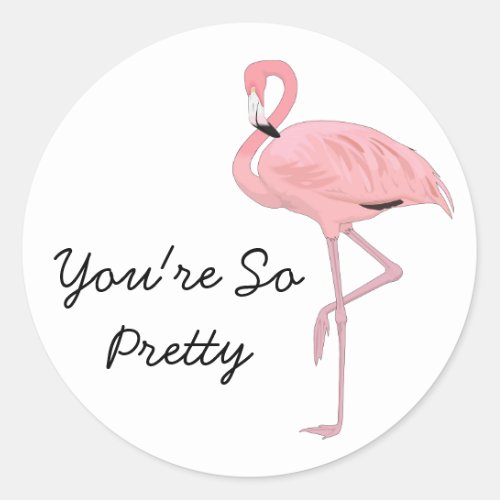 Youre So Pretty Friendship Flamingo Classic Round Sticker