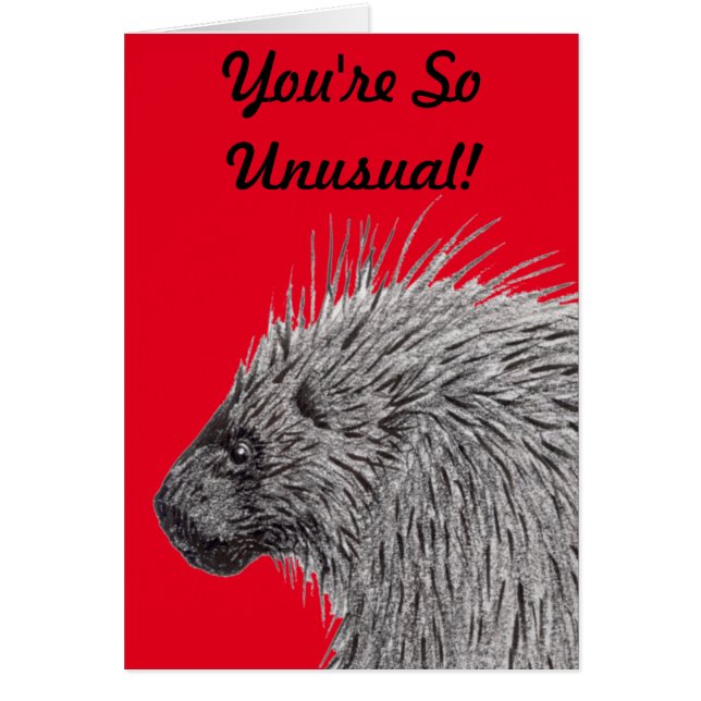 You're So Unusual Porcupine Cards (Front)
