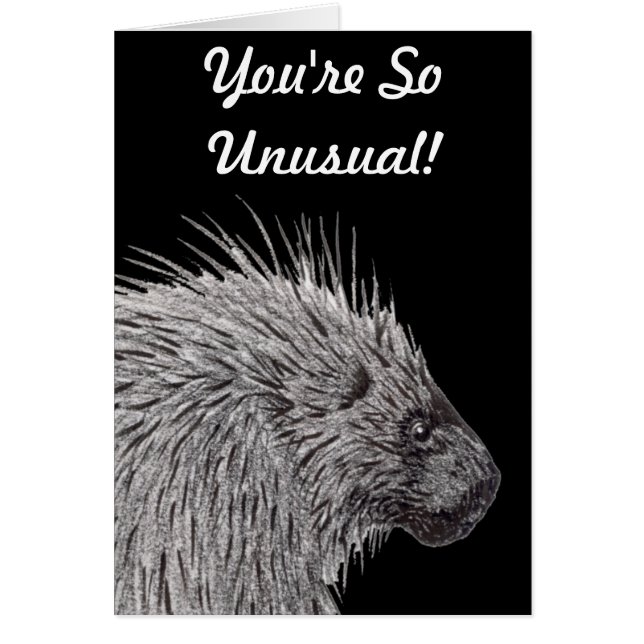 You're So Unusual Porcupine Cards (Front)