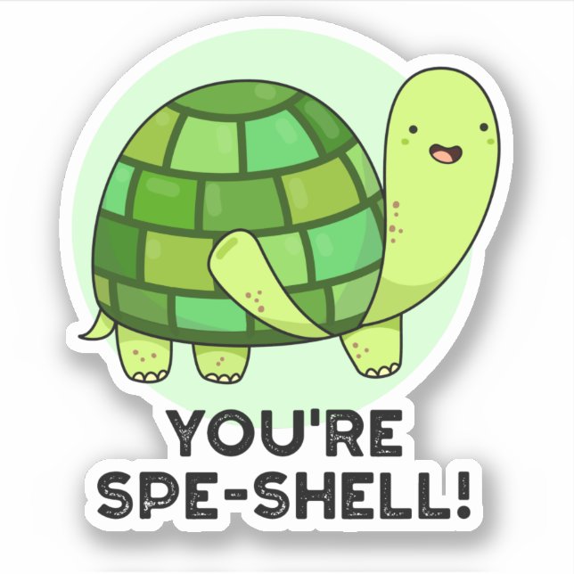 You're Spe-shell Funny Tortoise Pun  Sticker (Front)