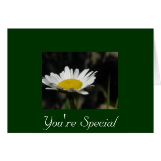 You're Special Cards