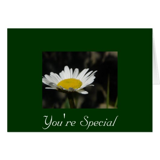 You're Special Cards (Front Horizontal)