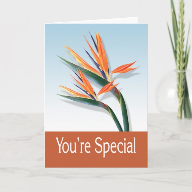 You're Special Greeting Card (Front)