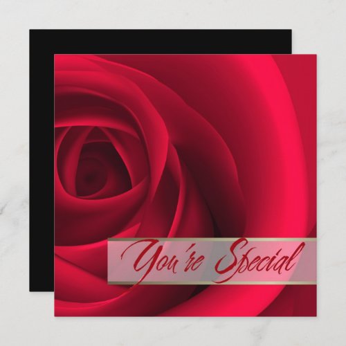 Youre Special Red Rose Valentines Day Card