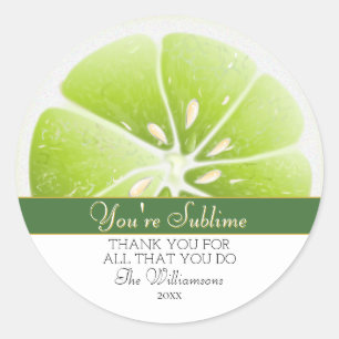You're Sublime Lime Citrus Fruit   Thank You Classic Round Sticker